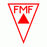 Federacao Mineira de Futebol-MG Logo download