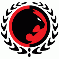 Gracie JIu Jitsu Logo download