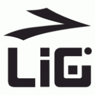 LIG Logo download