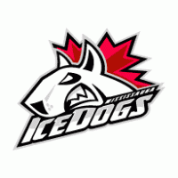 Mississauga Ice Dogs Logo download