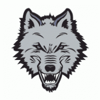 New England Sea Wolves Logo download