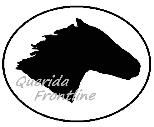 Querida Frontline Logo download