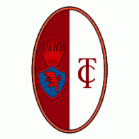Torino Logo download