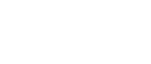 Almere DataCapital Logo download