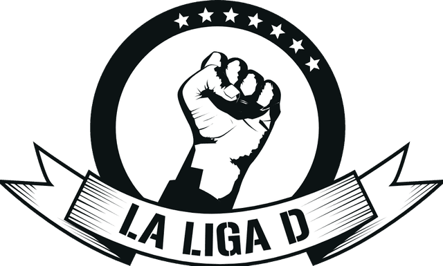La Liga D / Brand 2009 Logo download