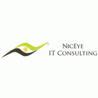 Niceye IT Consulting Logo download