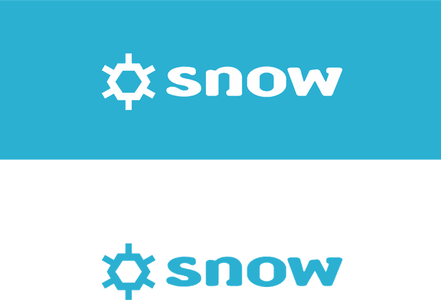 Snow Software Logo download
