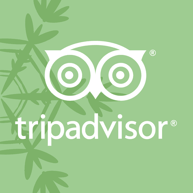tripadvisor Logo download