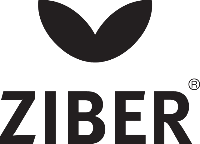 ZIBER Logo download