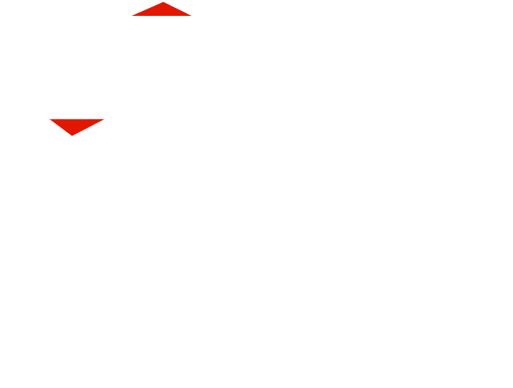 Neely Transport Logo download