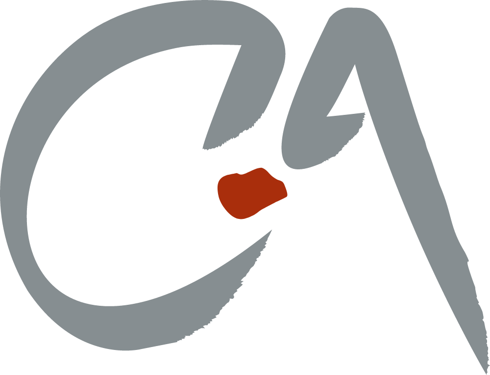 CA Communication Logo PNG logo
