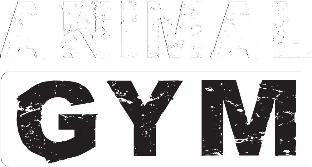 Animal Gym Logo Logos