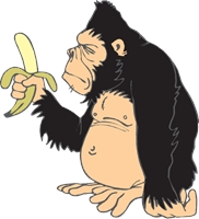 Monkey Logo Template PNG Logos