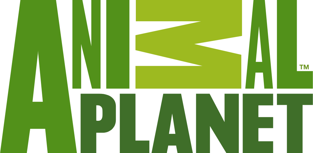 New Animal Planet Logo PNG Logos