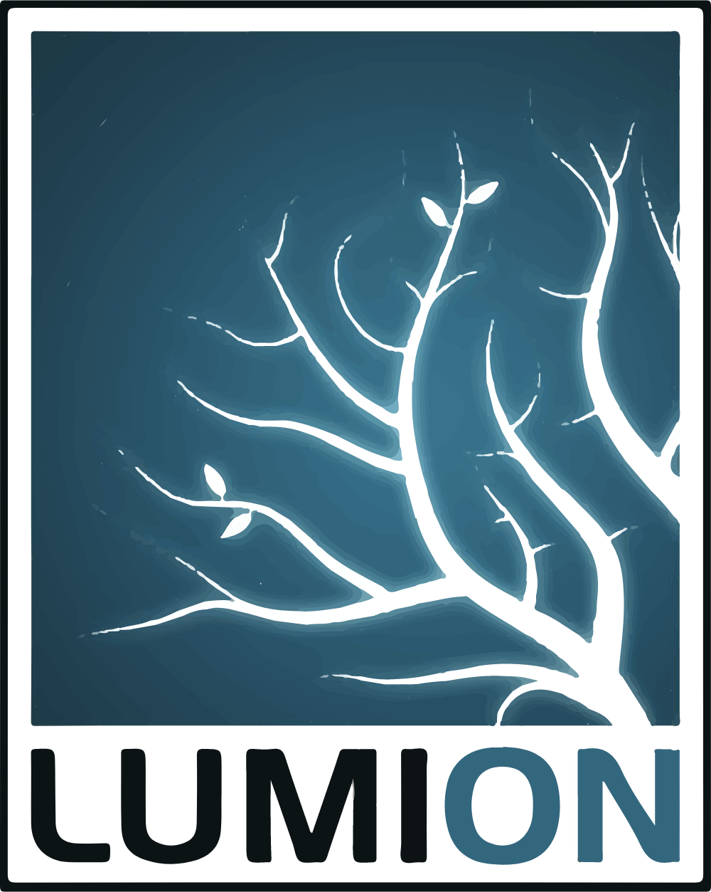 Lumion 3D Logo PNG Logos