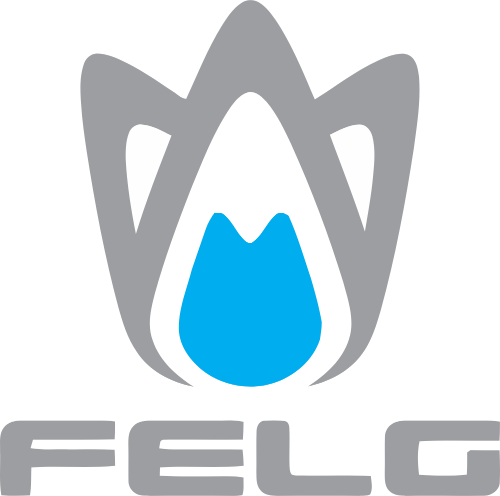 Felg Software Logo Logos
