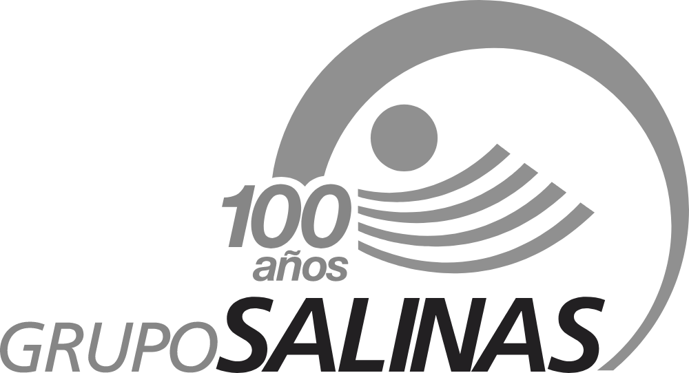 Grupo Salinas 100 años Logo PNG logo