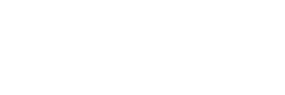HAYDEA - Transforming Business Processes Logo Logos