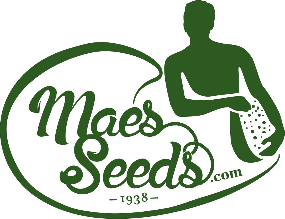 Maes Seeds Logo Logos