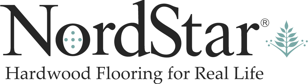 NordStar Logo Logos