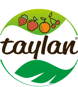 Taylan Logo Logos