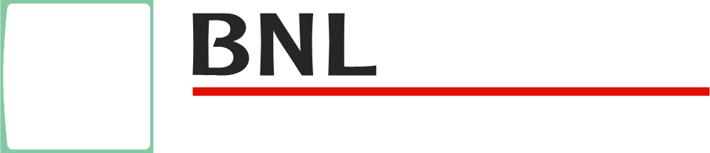 BNL PARIBAS Logo Logos
