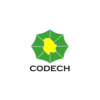 Codech Logo Logos