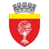 Primaria Onesti Logo Logos