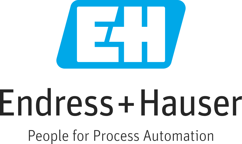 Endress + Hauser Logo Logos
