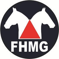 Federação Hipica Minas Gerais Logo Logos