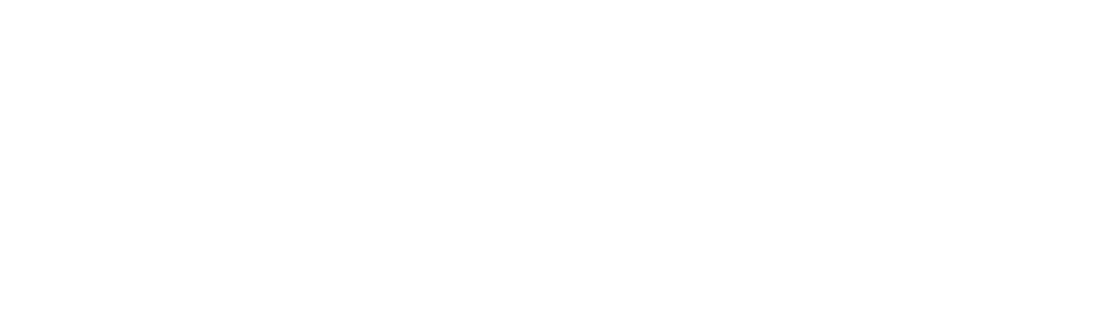 praxisprint Logo Logos