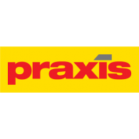 Praxis Logo Logos