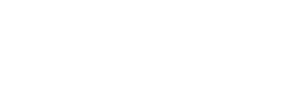 Borsodchem Logo PNG Logos