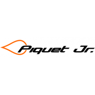 Nelson Piquet Jr. Logo Logos