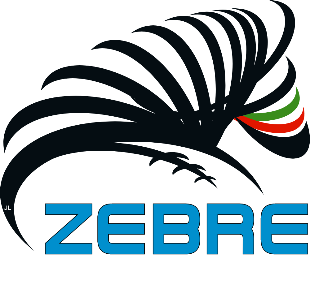 Zebre Rugby Club Logo Logos